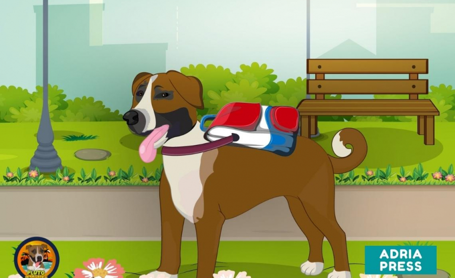 Plutova akcija za lepši začetek šolskega leta 