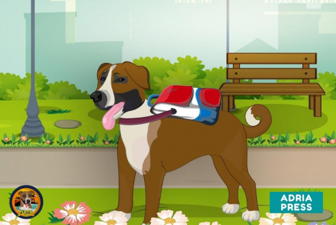 Plutova akcija za lepši začetek šolskega leta 